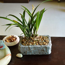 Natural stone flowerpots H1 Personality Florator Pool Taste Art Multi-meat Desk Creative Stone Flower Pots