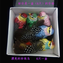  Boxed birds 6 boxes of simulation feathers bird wings for beautiful pearl hair pearl bird home decorations
