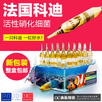 French Kodi nitrifying bacteria fish tank ammonia removal water purification injection Trace element stabilizer Ammonia removal bacterial food