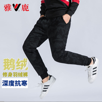 Yalu winter new youth slim stretch men wear goose down down pants thickened windproof small feet cotton pants