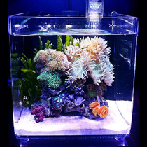 Seawater Fish Clown Fish Tank Marko MACRO Coral Cylinder Acrylic Quarantine Cylinder Tabletop Starter Egg sea water cylinders