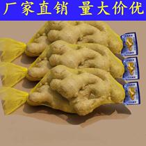 Secret net woven bag garlic garlic net bag supermarket bag new small bag woven nylon fresh garlic Universal