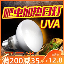 Climbing pet UVA soft light sun light reptile tortoise breeding box tortoise tank sun back light heating insulation lizard palace guard