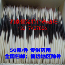 Natural porcupine Thorn porcupine hair thorn pig Thorn arrow pig Thorn medicinal porcupine Thorn 50 grams a piece