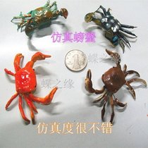 High simulation crab clay insect insect crafts simulation animal teaching props sold at low prices