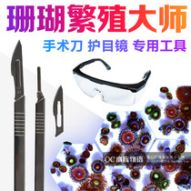 Master of breeding button knife cutting button stainless steel blade handle replacement button break surgical knife