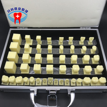 Dental Oral students practice carving teeth step model 2 5x carving teeth step demonstration model 