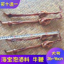 Beihai specialties whole with testicles bullwhip strong body strong body Haibao soak wine nourishing dry goods 1 root