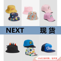 Spot] British next spring and autumn boys and girls baby car dinosaur cap fishermans hat sub-division