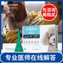 Enbedo Dogs Non-Boroni in vitro Deworming Drops to Flea Tick Small Dogs