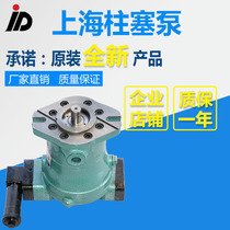 10 16 25 32 40 63 80 100 160 250 400PCY14-1D Shanghai axis tucked oil pump