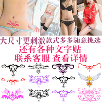 Sex tattoo stickers dirty private parts sexy alternative dirty text tattoo stickers lewd belly tattoo stickers chest waterproof