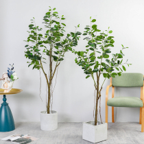 Banyan tree rich fake tree plant living room Nordic large potted floor furnishings indoor window landscaping simulation green plant