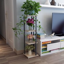 Fancy indoor TV next to multi-storey indoor special living room indoor corner flower stand flower pot green plant