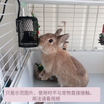 Anti-scalding heating lamp Insured light ceramic heating lamp rabbit guinea pig hamster Hedgehog Honey Bag Cockatoo Parrot Chicken for the winter