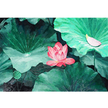 Ginger Wei < Ho Flowers > Realistic Cloth Surface Oil Painting Living Room Hanging Painting Collection Oil Painting