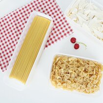 Japanese imported INOMATA food fresh noodles box white transparent noodle box sealed refrigerated storage box