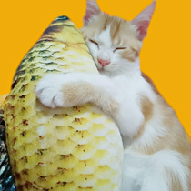 Cat Toy Fish Cat Mint Fish Teasing Cat Stick Grindal Toy Pet Plush Emulation Hug Pillow Kitty Supplies Fish Toy
