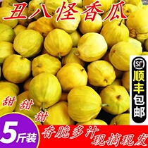 Hubei Farmhouse Fresh Melon Pear Melon Ugly 8 Strange Aromas of melon Melon Crisp Sweet Gold Honey Melon Yellow Peel Fruit 10 kilos