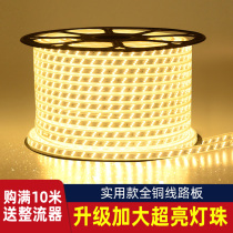 led light belt living room ceiling household colorful color changing line Light super bright waterproof light bar 220V outdoor three color light Belt