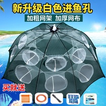 Wild fishing equipment 12 holes shrimp big fish shrimp cage shrimp net folding fishing thick fish net fool basket