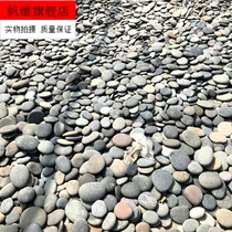  Natural pebbles flat stone paving stone Gardening fish tank stone Rain stone Goose warm stone Pressed pickle stone