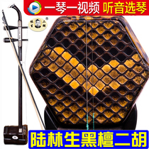 Lu Linsheng Samsung Ebony erhu handmade Erhu instrument to send original accessories