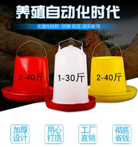 Automatic feeding chute Big chicken Poultry feeder Chicken food bad chicken duck goose chute drinking water bird feeding box