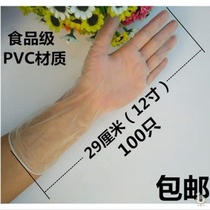 Food Grade 12 inch extended disposable pvc gloves dental catering baking beauty shampoo electronic experiment 100