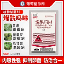 Norpsen Ammarene Oxymorph Grape Cream Moldy Potato Head Potato Tomato Late Morning Disease Pesticide Fungicide