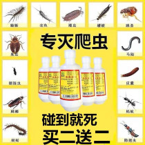 Deworming powder jumping outdoors killing pyrethrins tide worms killing people in the room killing cockroaches and killing cockroaches