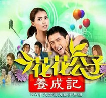 DVD version Thai Playboy Cultivation] Thai Chinese characters All 14 episodes 2 discs