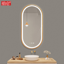 Burun Oval smart bathroom mirror toilet mirror wall light mirror vanity mirror wall toilet mirror