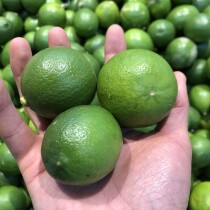 Fresh new green peel thin juice more fragrance natural green fruit Burma varieties small lemon 500 grams 1 jin