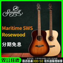 Initial musical instrument Seagull Maritime SWS QIT Aboriginal folk electric box wood guitar