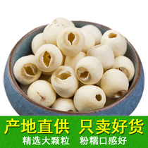 Xinlian large grain dermabrasion white lotus seed dry goods coreless 500g Specialty Xiang Lotus seed coreless white lotus seed coreless sulfur-free