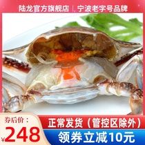 Ludragon Seafood Frozen Fresh Red Paste Shuttle Crab Full Mother Crab 2 500g Zhoushan Seafood Frozen Products Smooth and Quick Fit