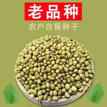 Guangxi Bama Green Skin Small Soybean Farmers Self-free Soybean Sprouts Green Peg New Soybean