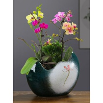 Butterfly Lan Special Ceramic Flower Pot Hand Colored Potted Plant Minimalist Personality Creative Big pallet Junko Orchid