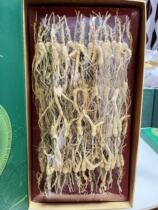 Forest Ginseng Changbai Mountain 20 Years Wild Ginseng Forest Ginseng Northeast Specialty Soaking Wine Soup