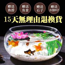 Office cylinder thickened transparent glass creative living room household desktop round mini small goldfish cylinder T