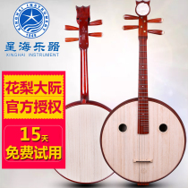 Xinghai Musical Instrument 8522 Professional Rosewood Duan Duan National Musical Instrument Beginner