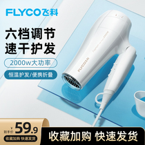 Feike hair dryer Household high-power barbershop dedicated silent does not hurt chills and hot air student dormitory hair dryer