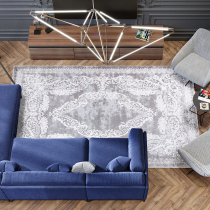 Heng Private Turkey imported carpet European light luxury living room sofa coffee table mat Household bedroom full bed side blanket