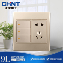 Zhengtai 120 Type 9L Steel Frame Wall Switch Socket Golden Three Open Five Holes Socket Three Double Control 23 Inserts 5 holes