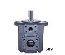YLC Xianju Yongling hydraulic oil pump PV2R1-31 28 25 23 19 17 14 12 10 8 6RAF1