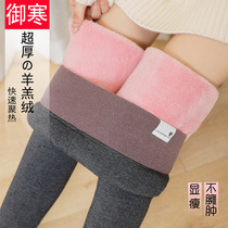 Punching pants in autumn and winter wear plug thick and thick lamb suff high waist one warm cotton large yards