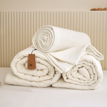 A - class 100 - whole cotton cotton is made by pure cotton cotton wool cotton quilt hand double