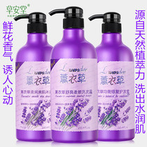 Lavender washes long-lasting perfume shampoo shower gel conditioner men and women Family set