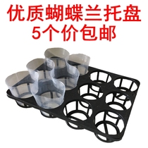 Phalaenopsis nutrient solution tray Nutrition cup Phalaenopsis orchid seedling hole plate turnover plate Plastic bracket